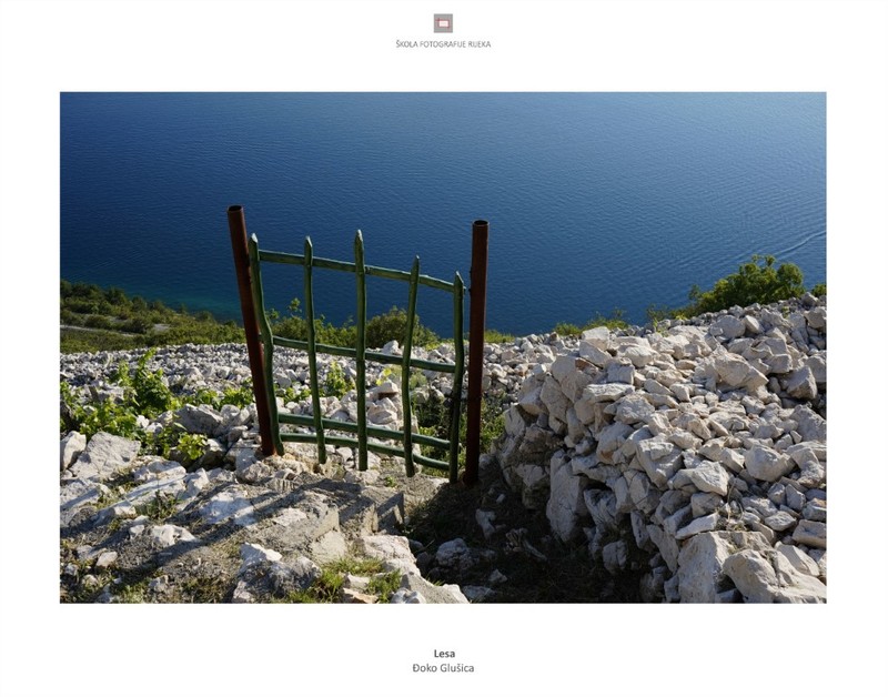 Rođendan fotografije 2019.  (3) (Medium)