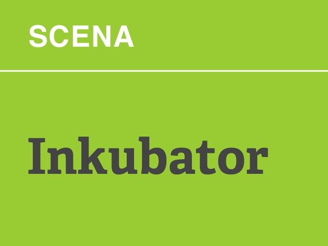 Spisateljska kreativnost 